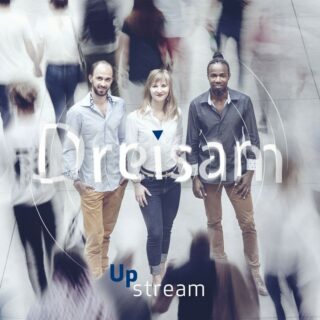 Dreisam UpStream
